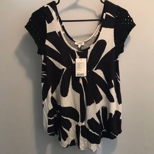 Weston Anthropologie swing black and white top
